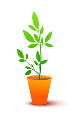 Home green plant flat vector illustration