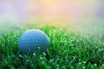 golf ball is on a green lawn in a beautiful golf course
