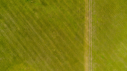 wild field, aerial view