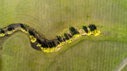 wild field, aerial view