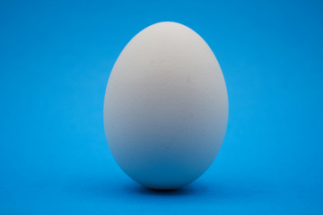 Uovo bianco con sfondo blu.