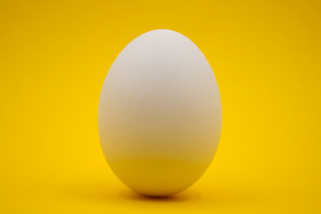 Uovo bianco con sfondo giallo.