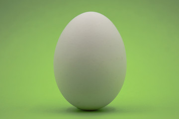 Uovo bianco con sfondo verde.