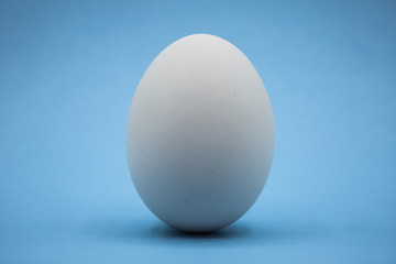 Uovo bianco con sfondo celeste.