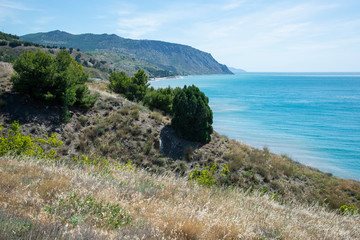 Summer landscape on the Black Sea
