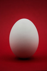 Uovo bianco con sfondo rosso.