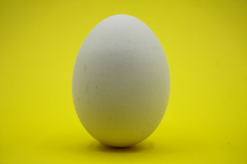 Uovo bianco con sfondo giallo.