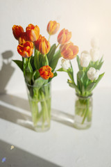 Naklejka na ściany i meble Two vases with spring orange and white tulips