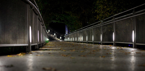 Fototapeta premium beautiful light spots at a small bridge in graz at night with some foliage in autumn
