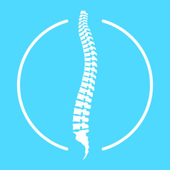 Spine human graphic icon. Spinal column sign in the circle isolated on white background. Logo. Vector illustration 