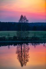 Fototapeta na wymiar Beautiful spring sunset in Finland. The picture shows a leafless tree that is reflected from the water. The sky is orange red.