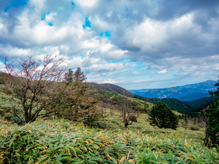 【静岡県伊豆半島】伊豆山稜線歩道からの風景【秋・だるま山周辺】