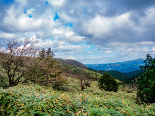 【静岡県伊豆半島】伊豆山稜線歩道からの風景【秋・だるま山周辺】
