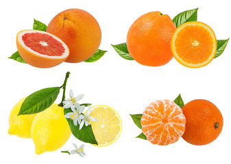 Fototapeta na wymiar Fresh citrus collage isolated on white background with clipping path