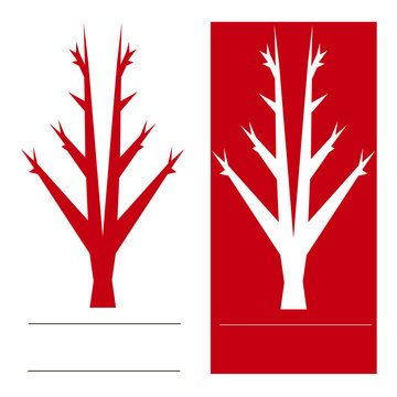 Linear branches and tree