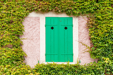 Fototapeta na wymiar Window with closed green shutters surrounded by ivy on the pink Claude Monet house in Giverny, France