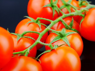 reife Bio Tomaten  frisch auf den Tisch  