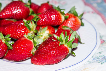 plate of fresh fresh on background