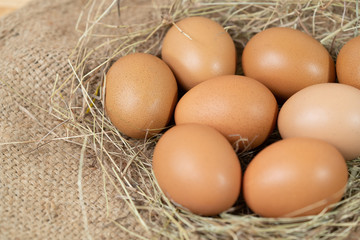 Fresh brown eggs organic arranged on Burlap Sack