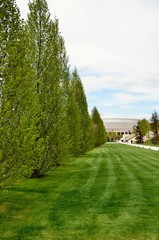 In the woods at the Stadium ...