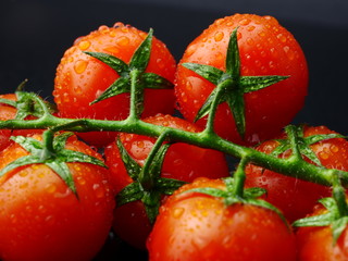 bio rote reife feucht Tomate 