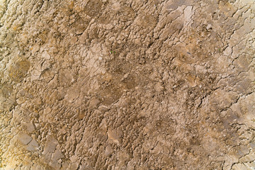 Cracked mud pattern.