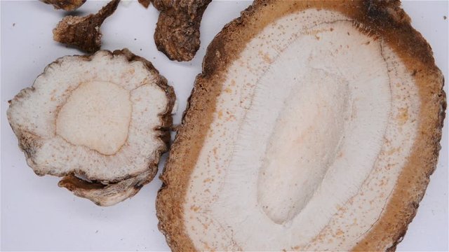 top view herb medicine BaiZhi or Angelicae Dahuricae Radix or Taiwan Angelica Root rotate and pause