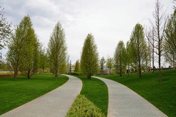 Two-lane human trails ...