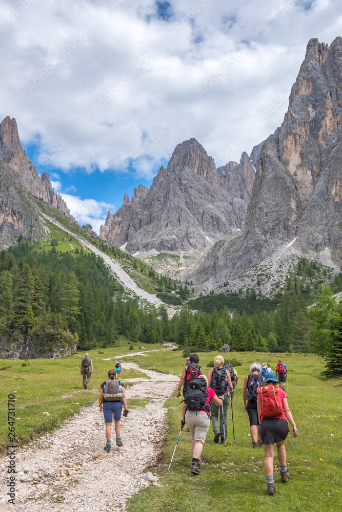 Wall mural People are walking on a hiking trail to the mountains in a beautiful alpine landscape