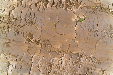 Cracked mud pattern.