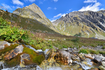 view on alpine mountain in summer from water flowing among rocks