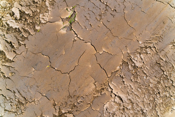 Cracked mud pattern.
