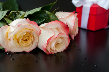 Fototapeta premium Three light yellow-red roses with drops of water and a gift with a white ribbon in a box lie on a black table