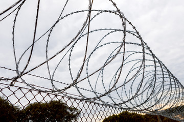 Fence with a barbed wire