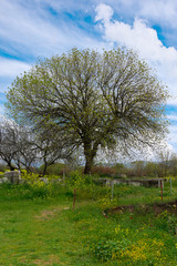 Obraz premium Afrodisias Ancient city. (Aphrodisias) Karacasu - Aydin, TURKEY