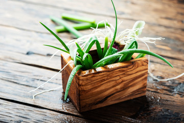 Fresh spring green onion