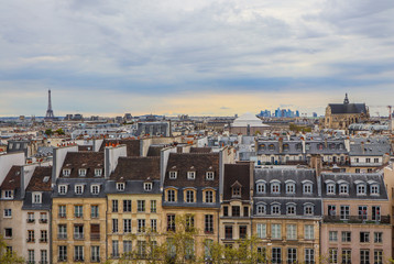 Aerial view of Paris city. France. April 2019