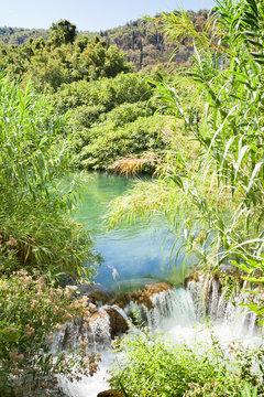 Krka, Sibenik, Croatia - Water reed at a small waterfall within Krka National Park