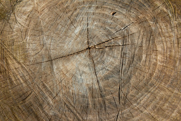 Naklejka premium old wood texture