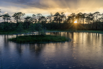 Naklejka premium Sunset in the bog, golden marsh, lakes and nature environment. Sundown evening light and rain