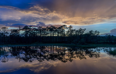 Naklejka premium Sunset in the bog, golden marsh, lakes and nature environment. Sundown evening light and rain