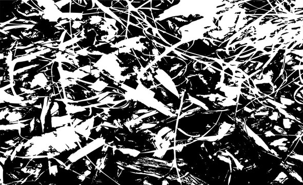 Botanical background of leaves. Monochrome black and white  background.Illustration.