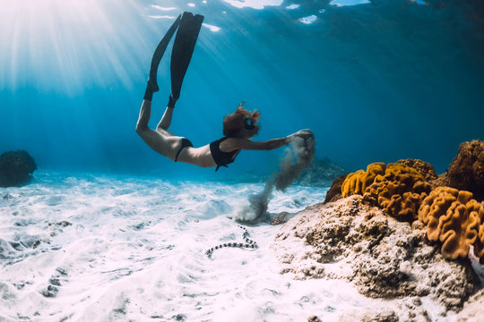 Woman Free Diver With Fins Near Coral Over Sandy Sea And Sea Snake Underwater