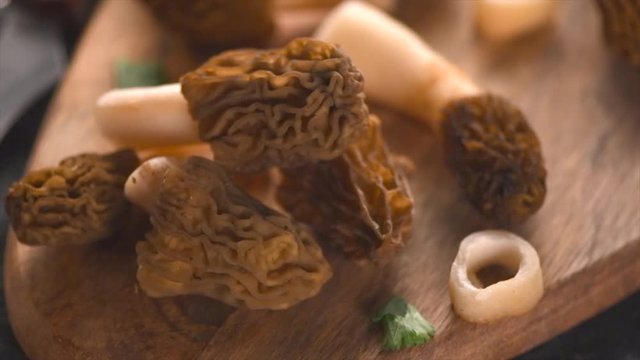 Cooking of morel mushrooms. Edible delicious mushroom, early spring morels on a table, closeup. Morchella. Verpa bohemica. Dolly shot. Slow Motion 4K UHD video footage. 3840X2160