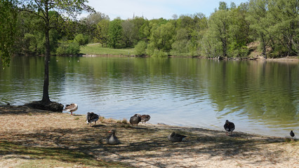 Heidbergsee in Braunschweig