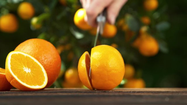 Super slow motion of halving orange by knife cut. Filmed on high speed cinema camera, 1000 fps.