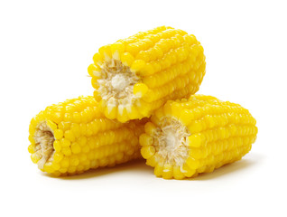 Boiled corn on white background