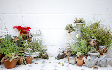 outdoor table top  decoration gardening on house