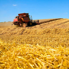 Fototapeta premium Moisson dans les champs de France et tracteur
