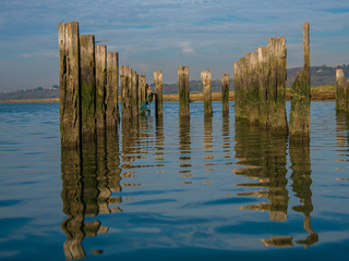 Pier Posts in water